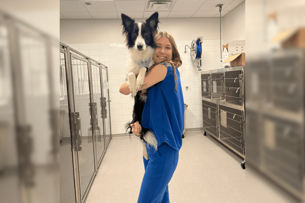 leander vet clinic team member with a dog