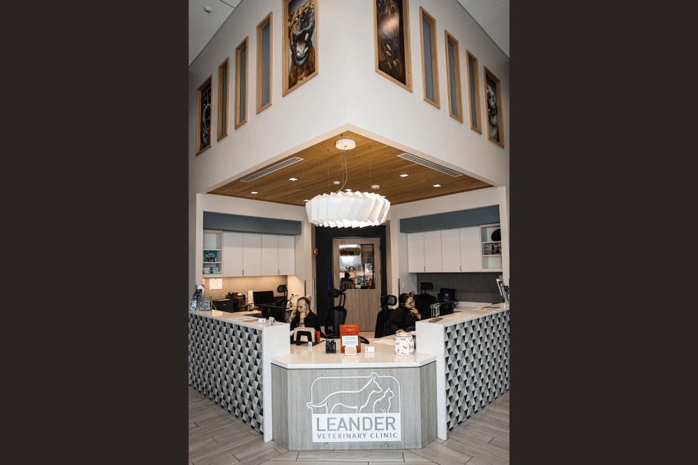 leander vet clinic interior