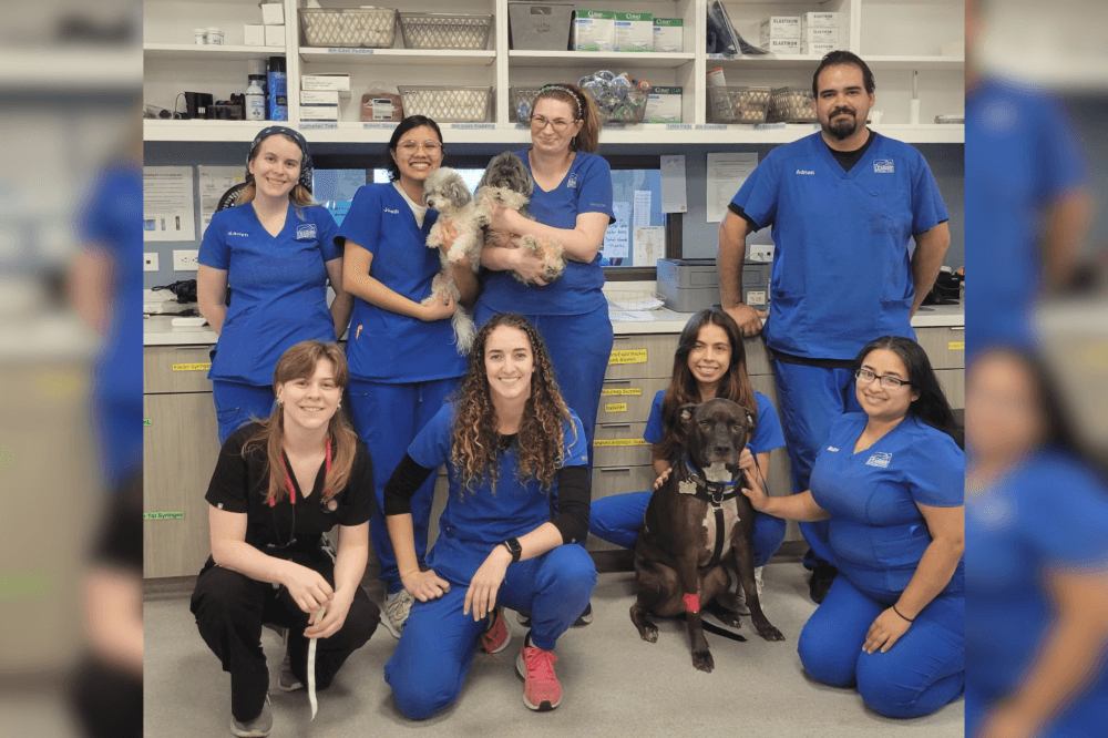 leander vet clinic team smiling