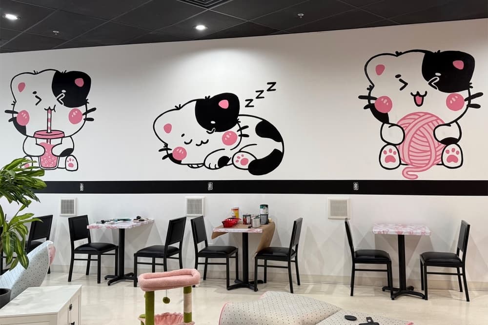 Bubble Cat Cafe to open cat lounge in Denton