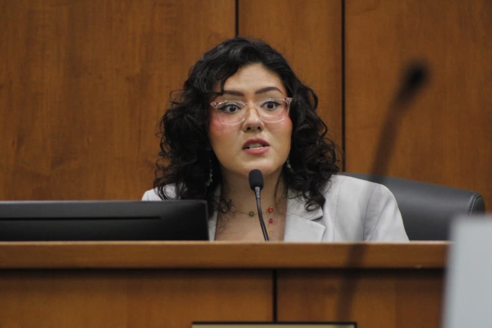 Kyle council member Claudia Zapata issues resignation