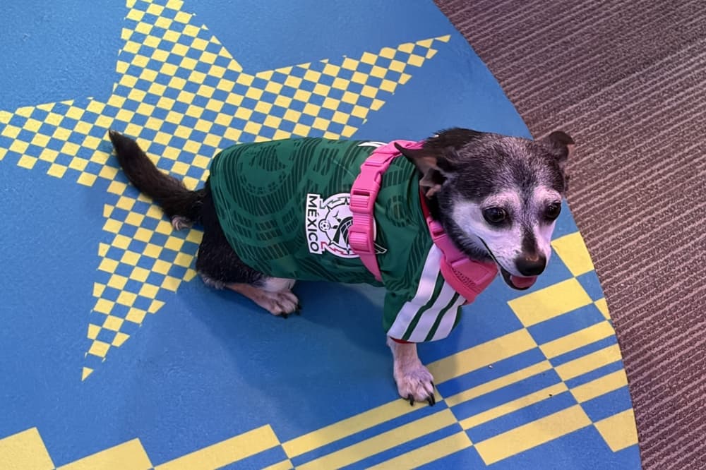 Many customers came already wearing jerseys of their favorite team. (Brad Dountz/Community Impact)