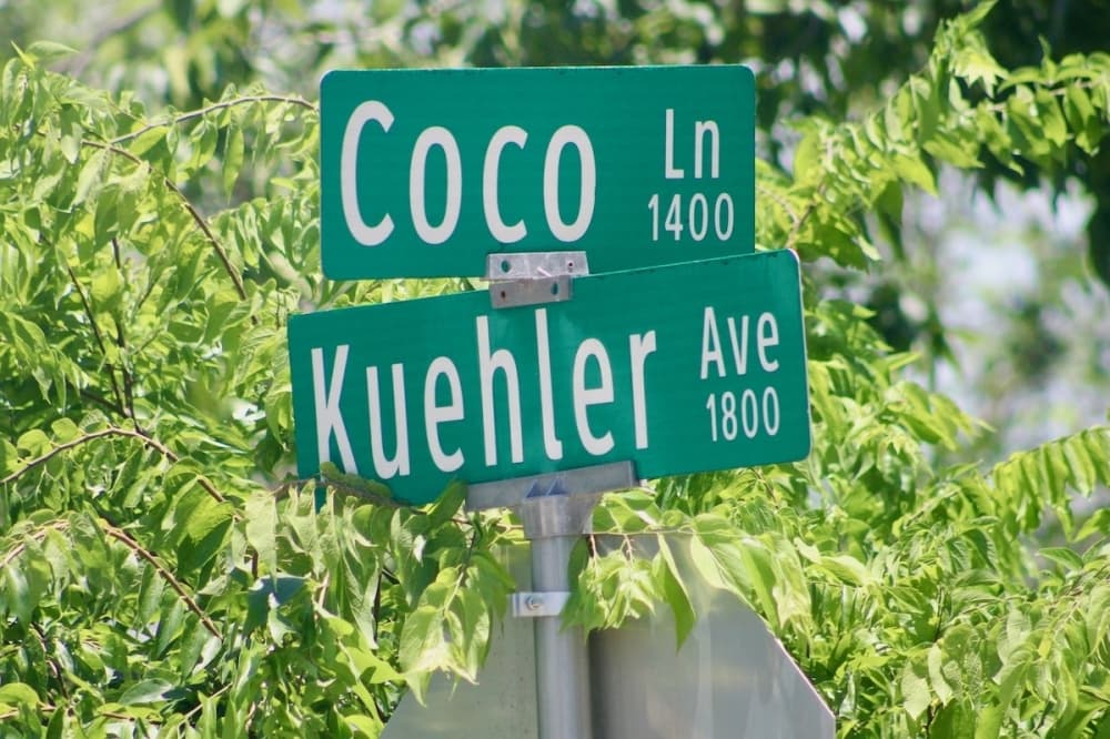 New Braunfels Planning Commission approves rezoning for proposed single-family project on Kuehler Avenue