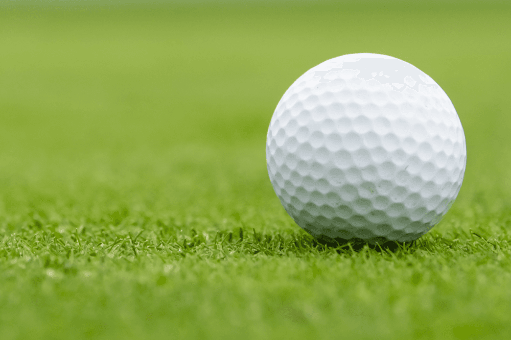 Missouri City approves $1.86M purchase agreement for new golf carts