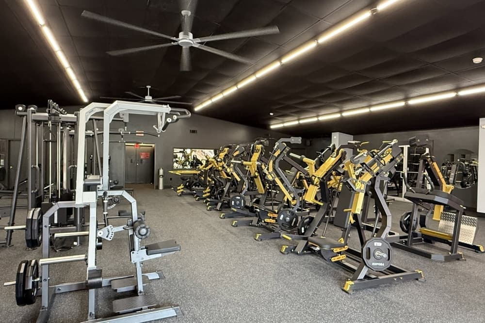 Premier Strength Gym to celebrate one year of business in League City