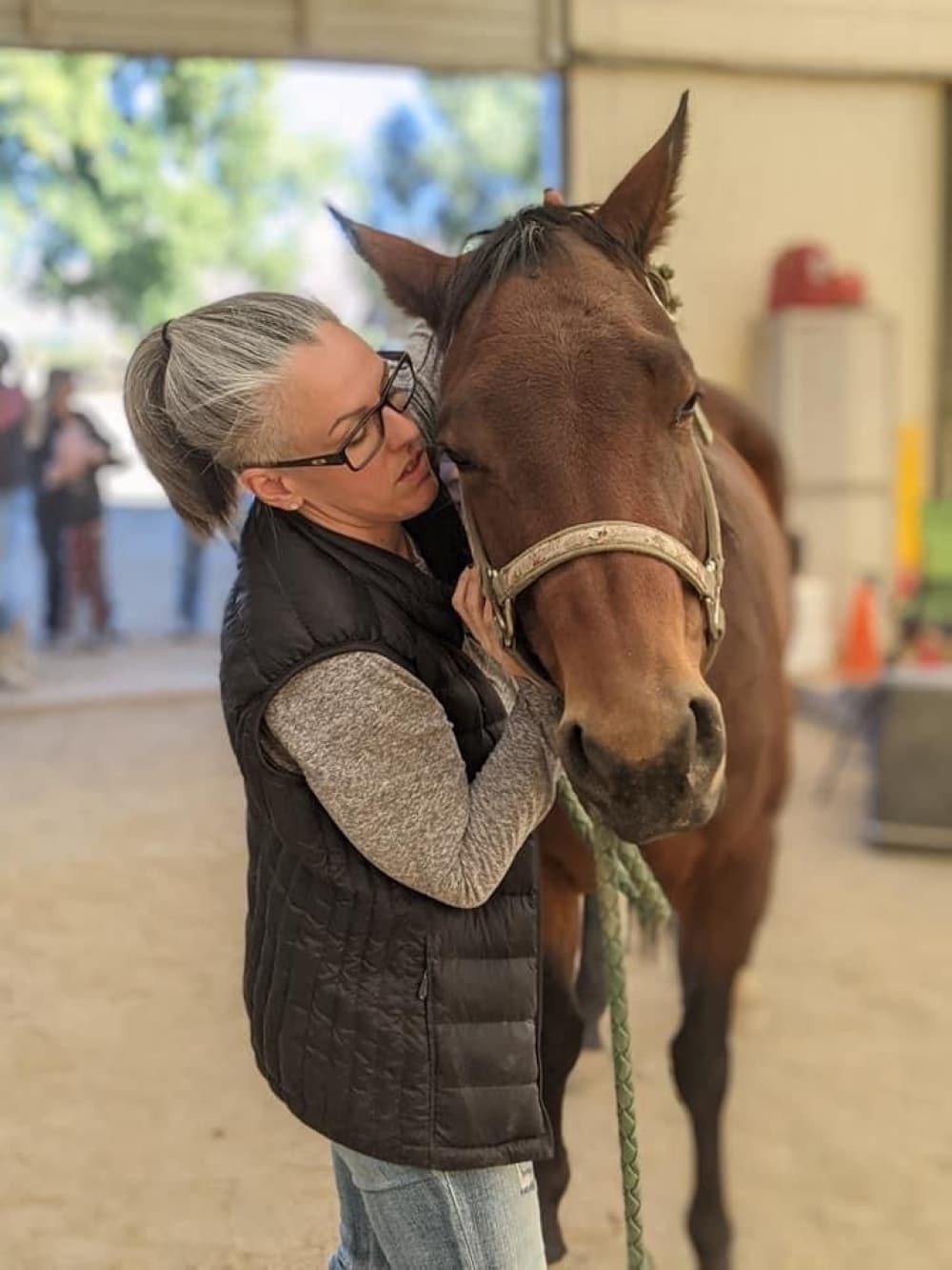Animal Ranch Care, which was launched by Lauren Baker in 2021, provides chiropractic care to animals, including horses, dogs, cats, donkeys, miniature donkeys and show animals. (Courtesy New Leaf Chiropractic) 