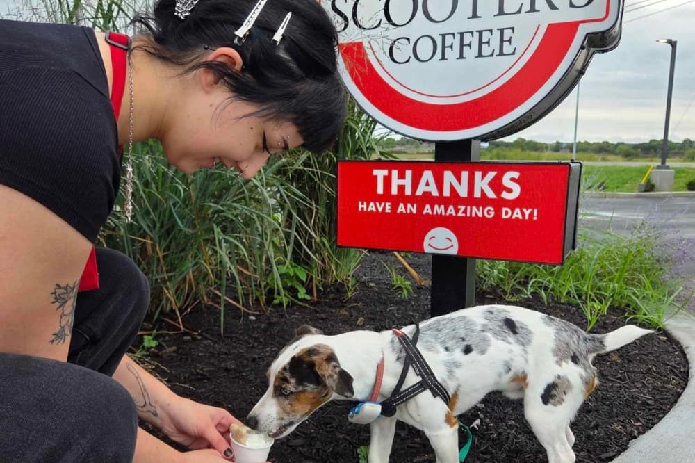 Pizza, pup cups and public safety: 12 Bastrop business updates