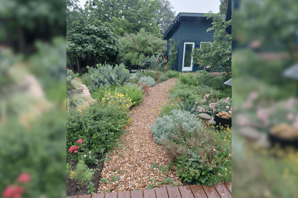native landscaping