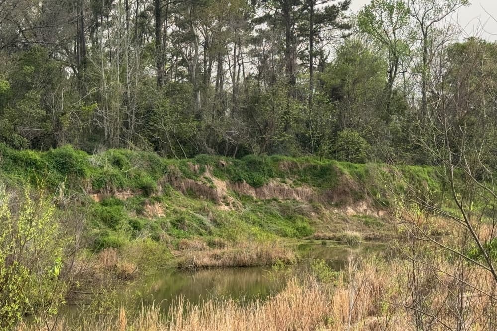 East Montgomery County Improvement District rolls out new park survey
