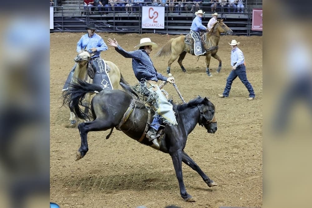 Check out 8 things to do in Cedar Park this summer