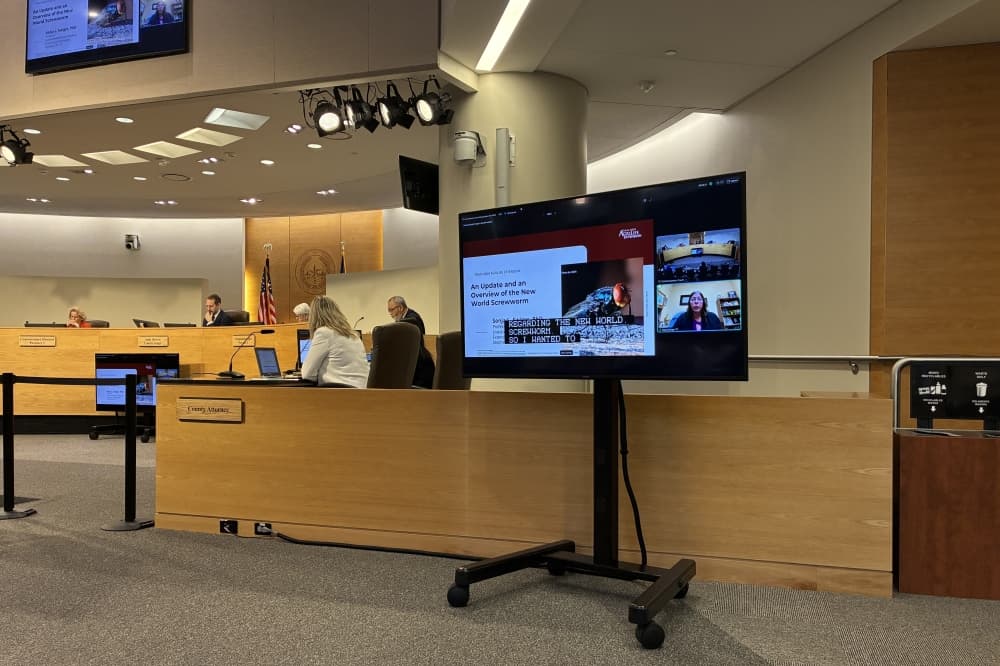 Travis County extends local disaster declaration over screwworm threat