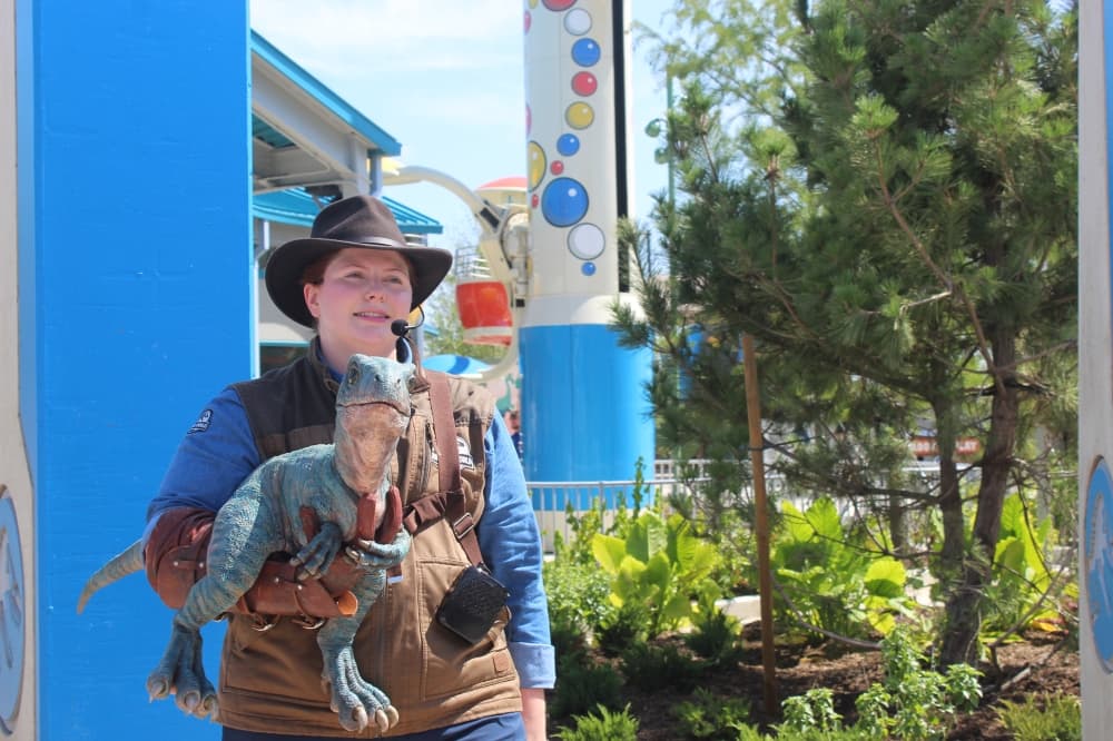 Visitors can meet a baby raptor and its handler at Jurassic World Adventure Camp at Universal Kids Resort in Frisco. (Samantha Douty/Community Impact) 