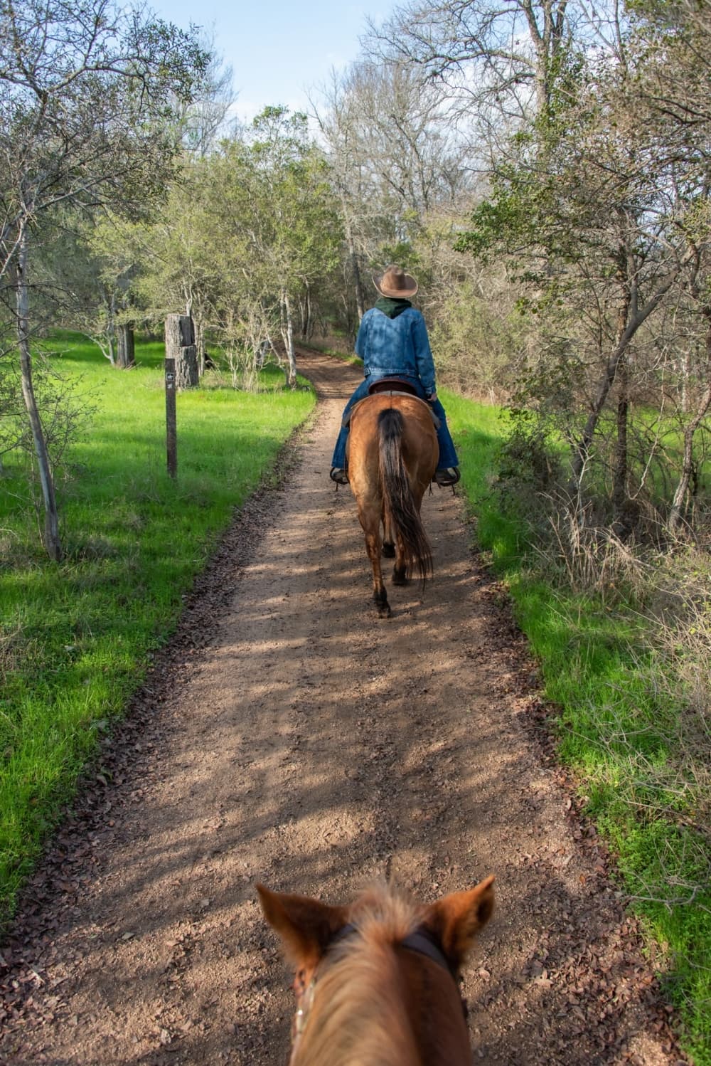 A horseback rider travels down a wooded trail at Hyatt Regency Lost Pines Resort & Spa.