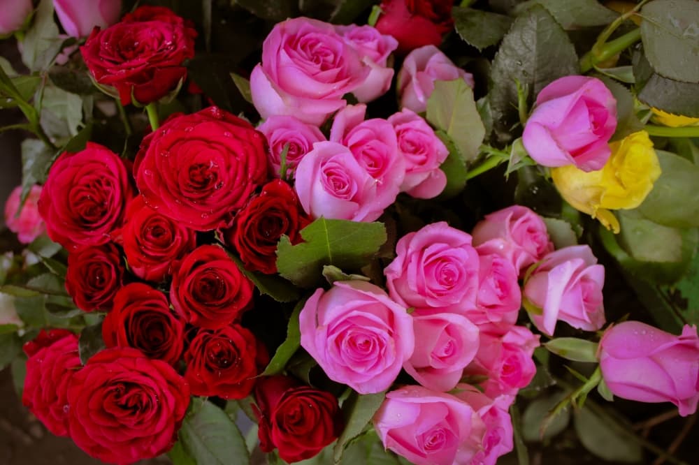 Petals and Stems Florist relocating near Richardson border