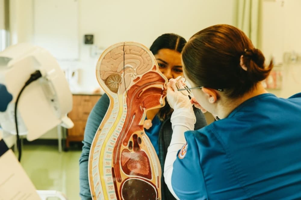Meeting the need for nurses: SHSU underway with nursing school renovations