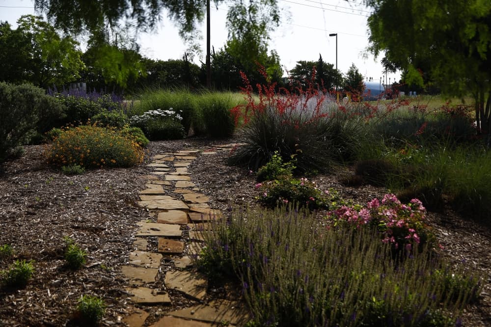 native plant demonstration garden