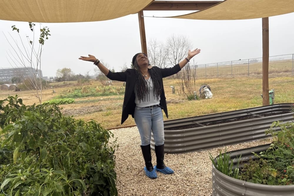 Handcrafted herbalist, tea shop coming soon to League City