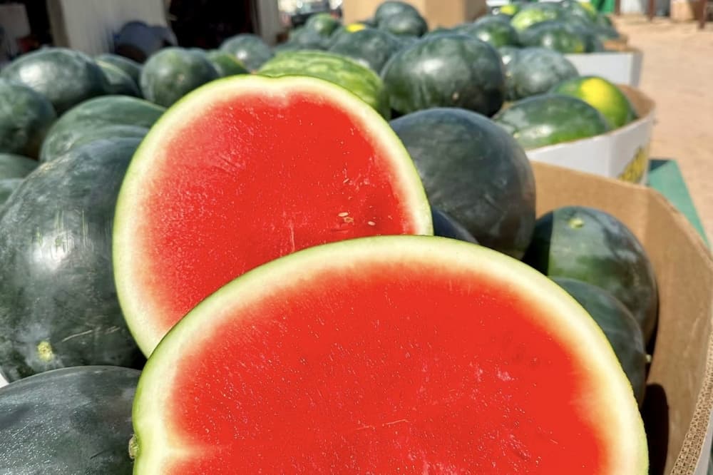 Precinct 4 Constable Mark Herman's office holding annual free watermelon event