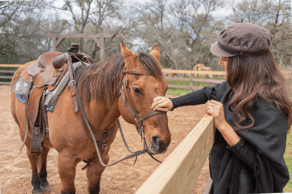 a horse is pet by a woman at  the resort