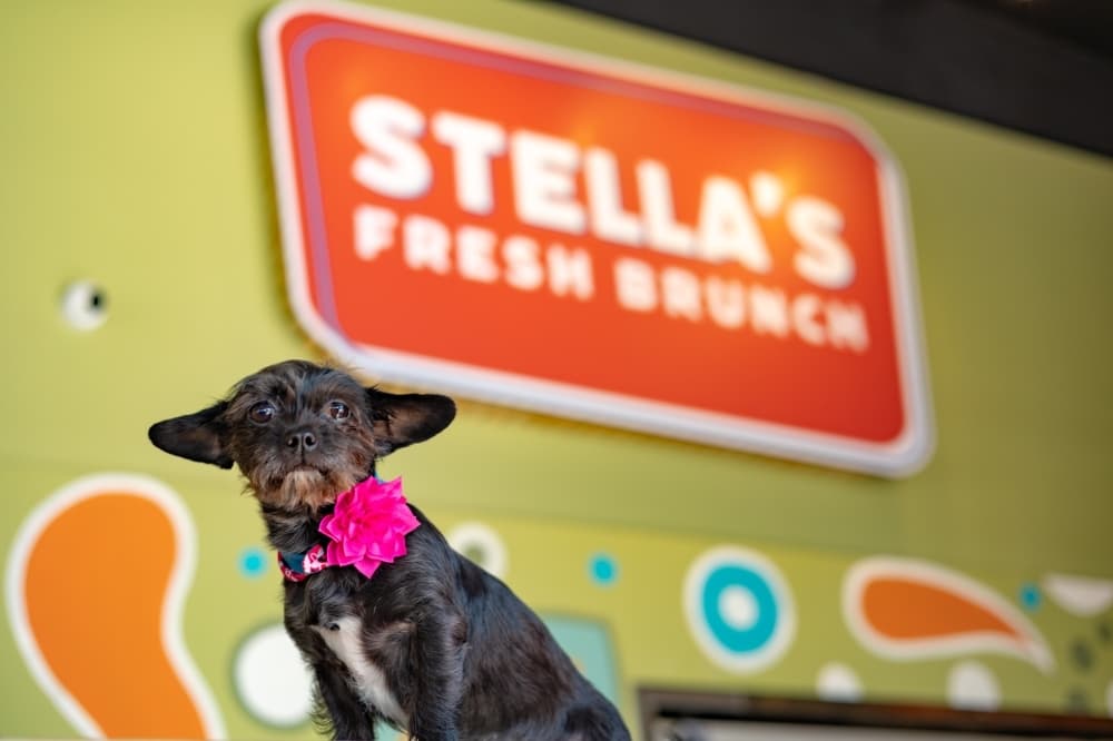 Stella’s Fresh Brunch serves sweet, savory breakfast favorites