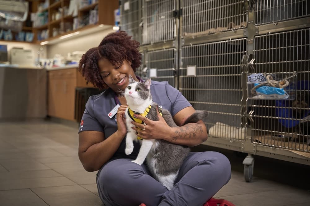 New veterinary clinic coming soon to Friendswood