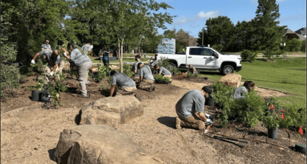 New pollinator garden open this summer at Wendtwoods Park in The Woodlands