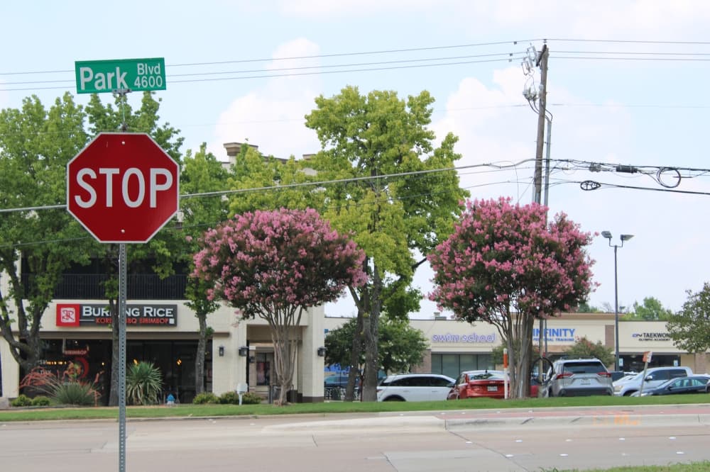 Night construction work to start along Park Boulevard in Plano in July