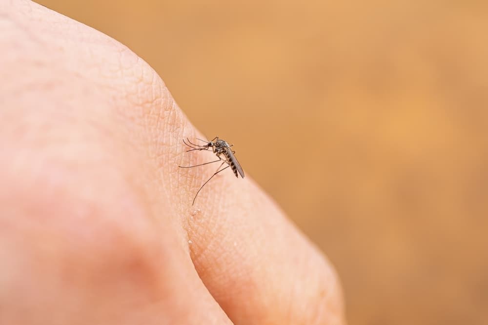 Fort Bend County reports 83% reduction in mosquitos following aerial spray operations