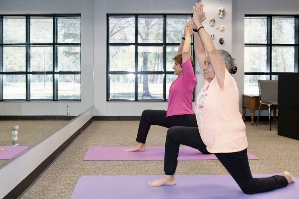 Lone Star College Academy for Lifelong Learning program helps adults 50-plus stay active 
