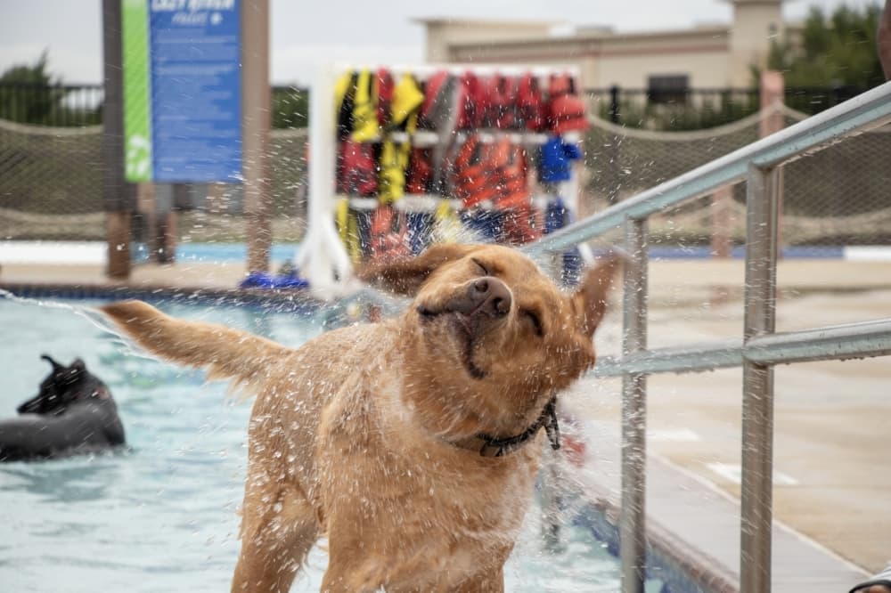 10 events to attend in Frisco this August, September