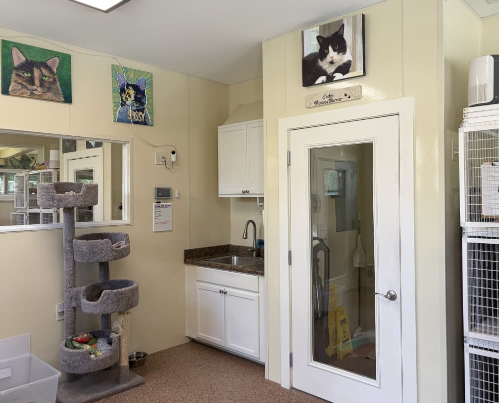 In 2019, the organization moved into a converted residential property off a quiet street with the help of volunteers. (Darcy Sprague/Community Impact)