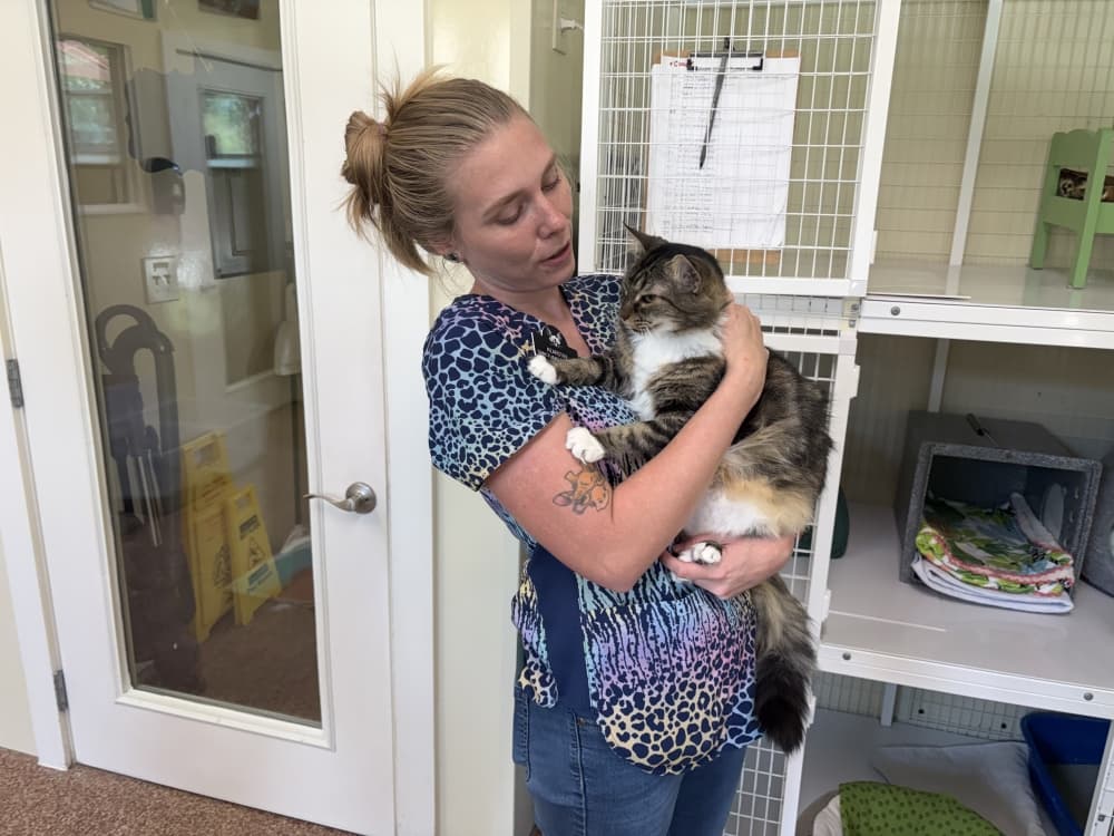 Kearstin Franz is the sanctuary manager at Shadow Cats. (Darcy Sprague/Community Impact)