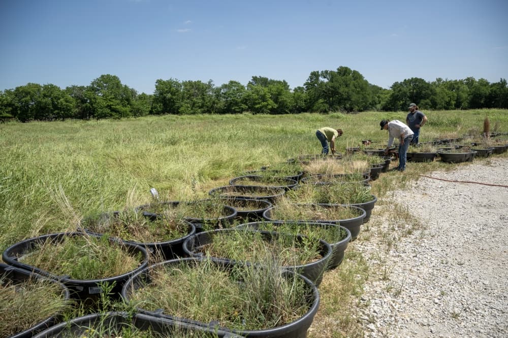 UNT, the Cole Family and Johnson Development are working together for the preservation project, which also gives UNT students hands-on experience. (Courtesy Ahna Hubnik/UNT)