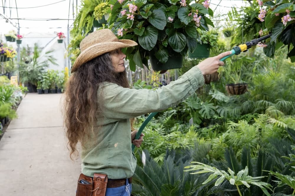 McIntire’s Garden Center celebrates 50th anniversary