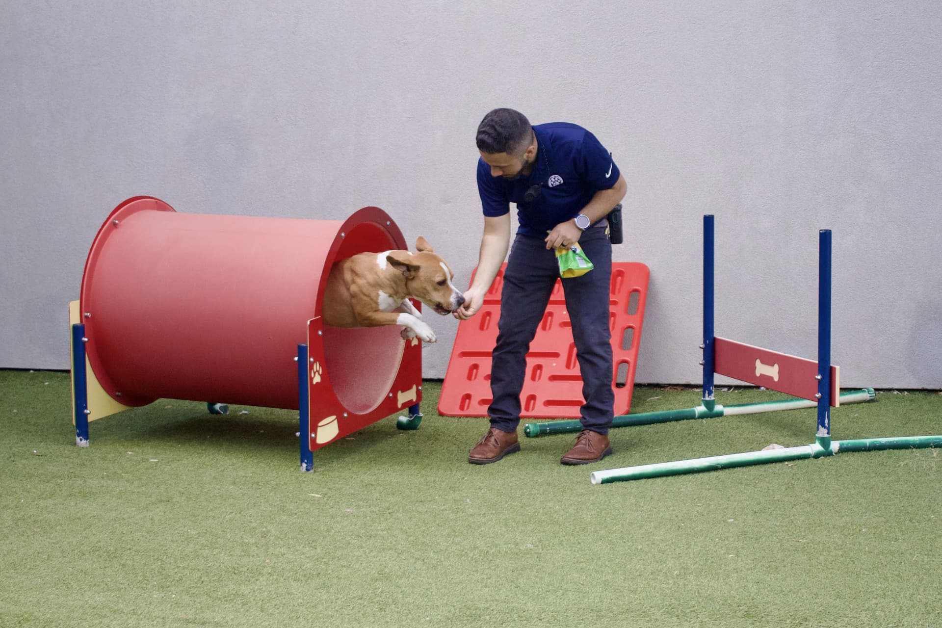 Expanding Animal Services
