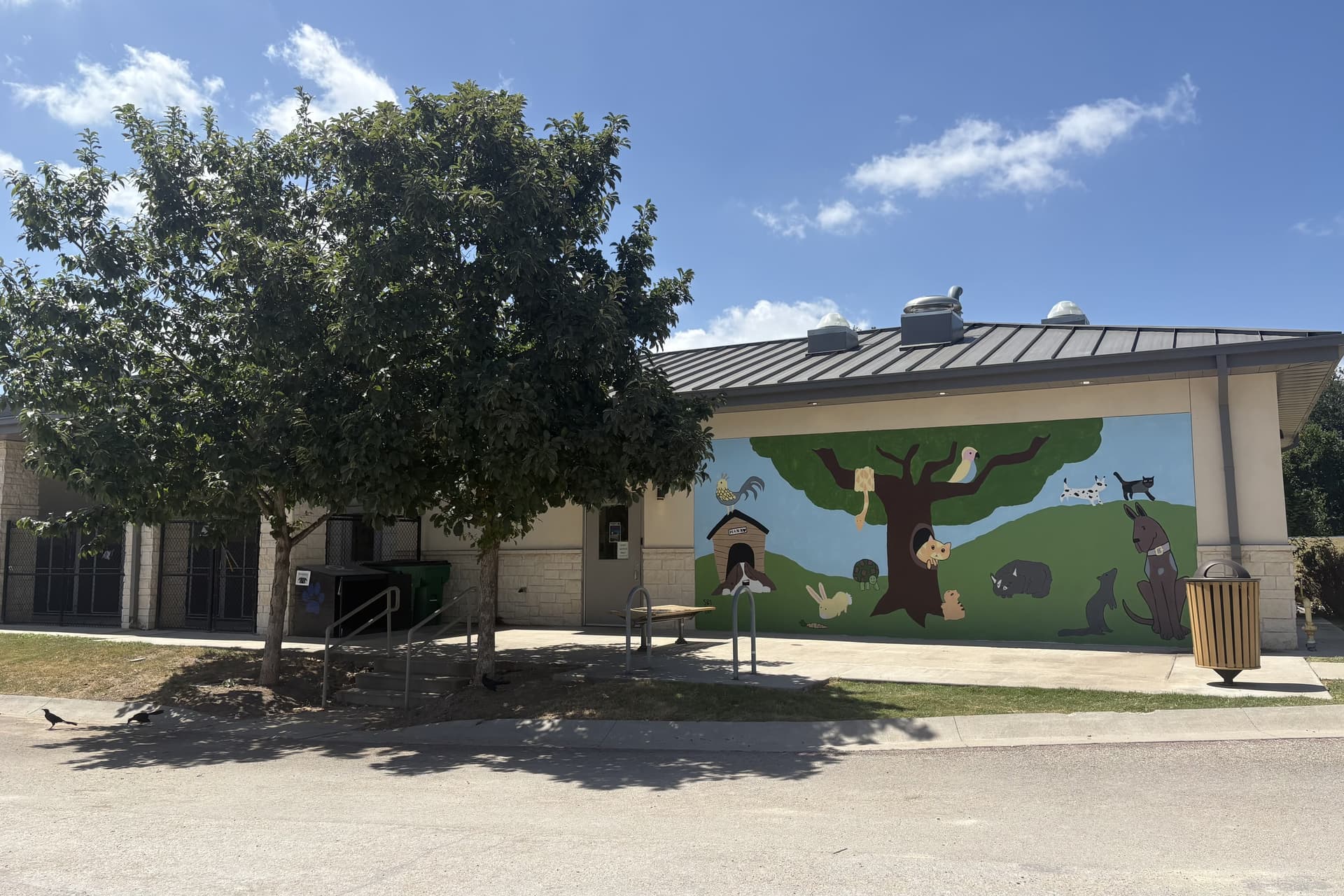 Pflugerville City Council decides not to call $87 million bond election