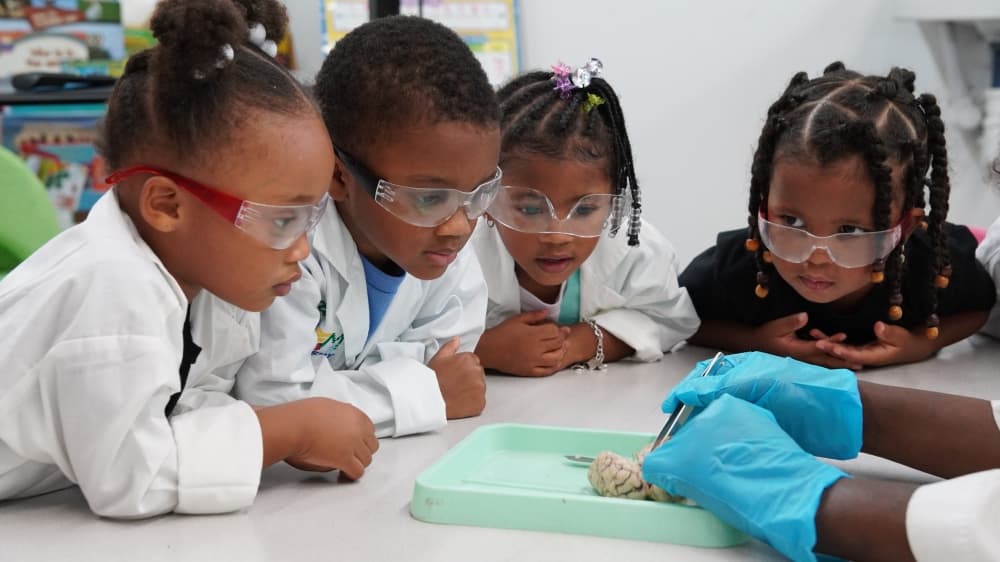During Anatomy Week, students participate in brain dissections. (Courtesy Little STEM Academy)