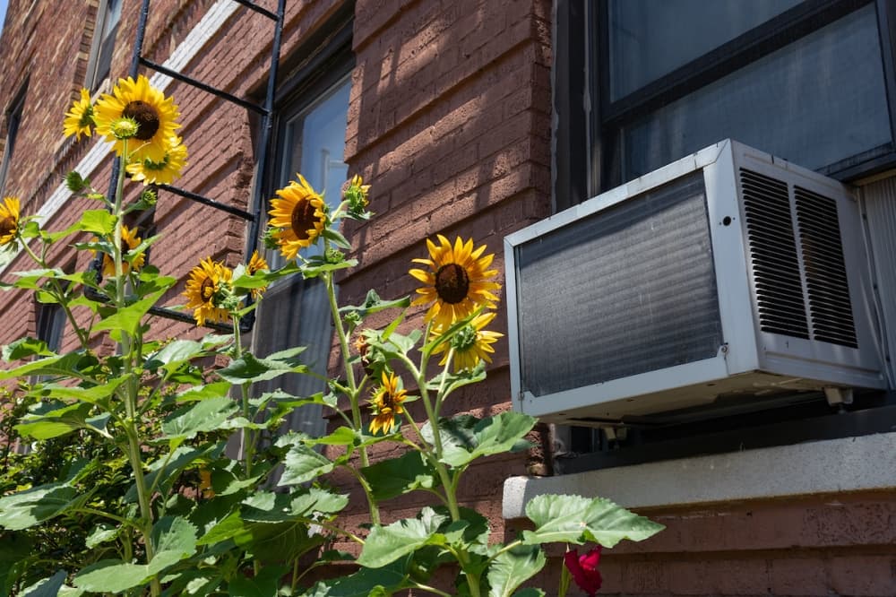 Houston officials to give away 125 air conditioners to residents in need