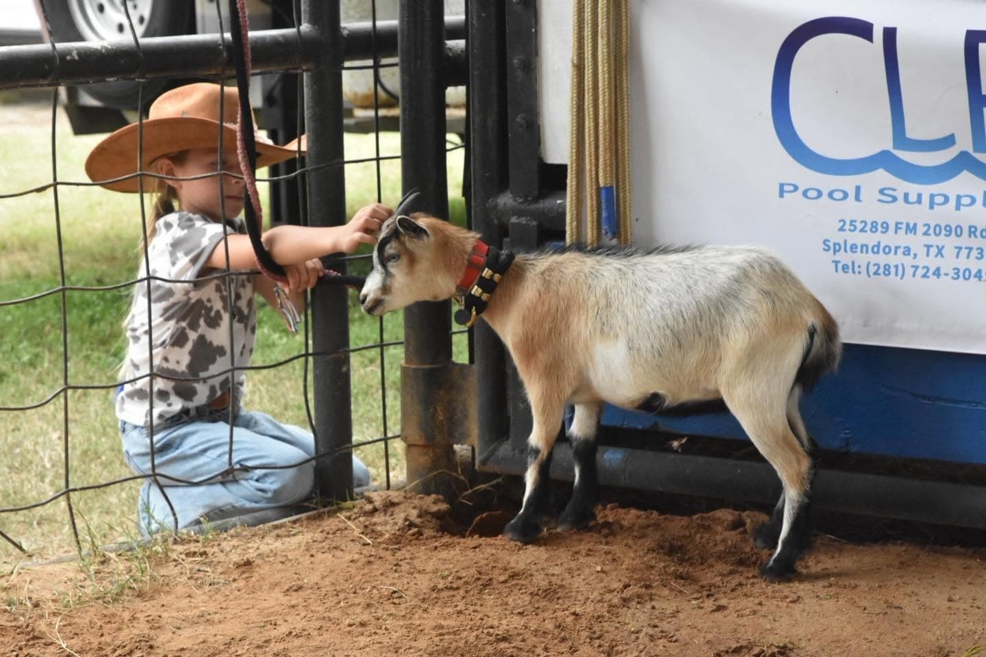 East Montgomery County Fair & Rodeo adds new livestock show category, expands kid’s zone