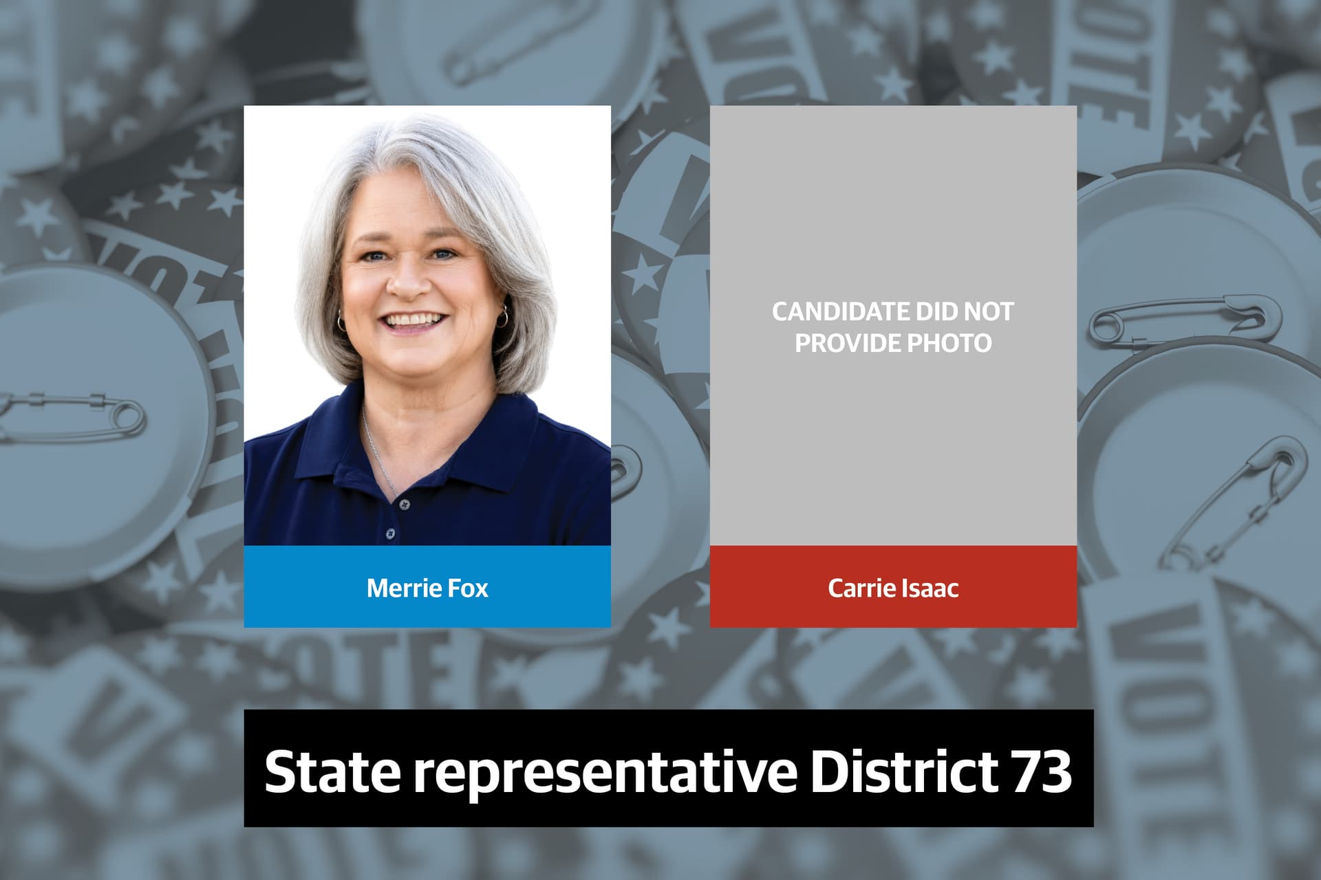 Q&A: Meet the candidates for State Representative District 73