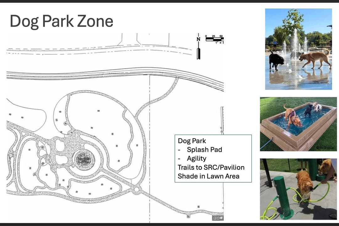 Image of the dog park site plan