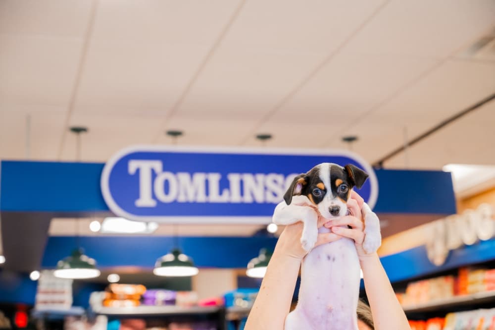 Grocery stores, pet stores and an indoor playground: 9 Pflugerville business updates to know