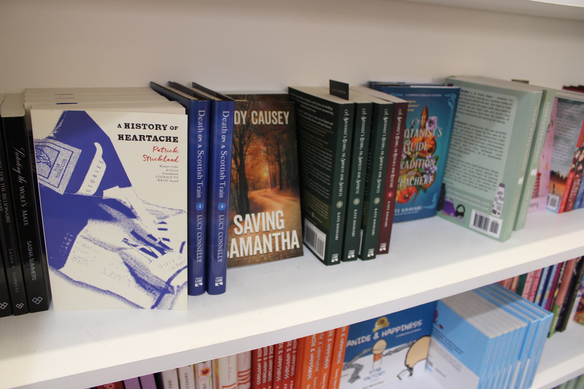 Bibliobar focuses on curating a selection of books from indie and local authors. (Patricia Ortiz/Community Impact)