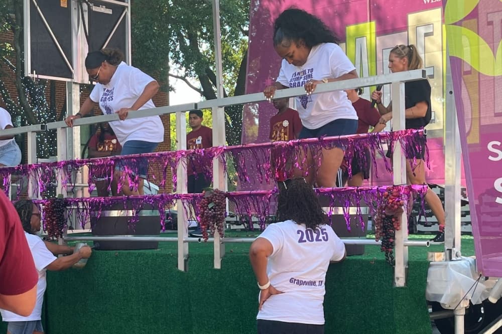 GrapeStomp, wine tasting: What to know about 2026 GrapeFest