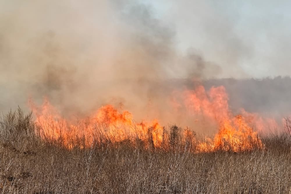 Denton, Collin County under burn ban amid increased fire risk