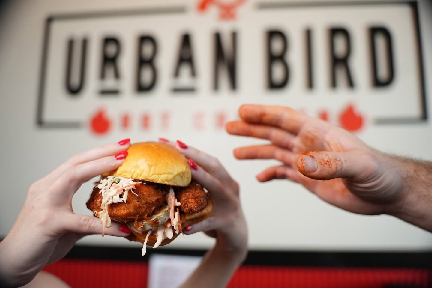 Nashville-style Urban Bird Hot Chicken coming to Cedar Park
