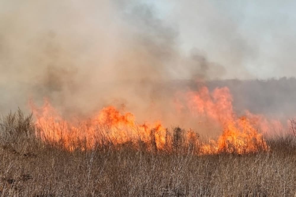 Brazos County enacts burn ban amid dry conditions, recent grass fires