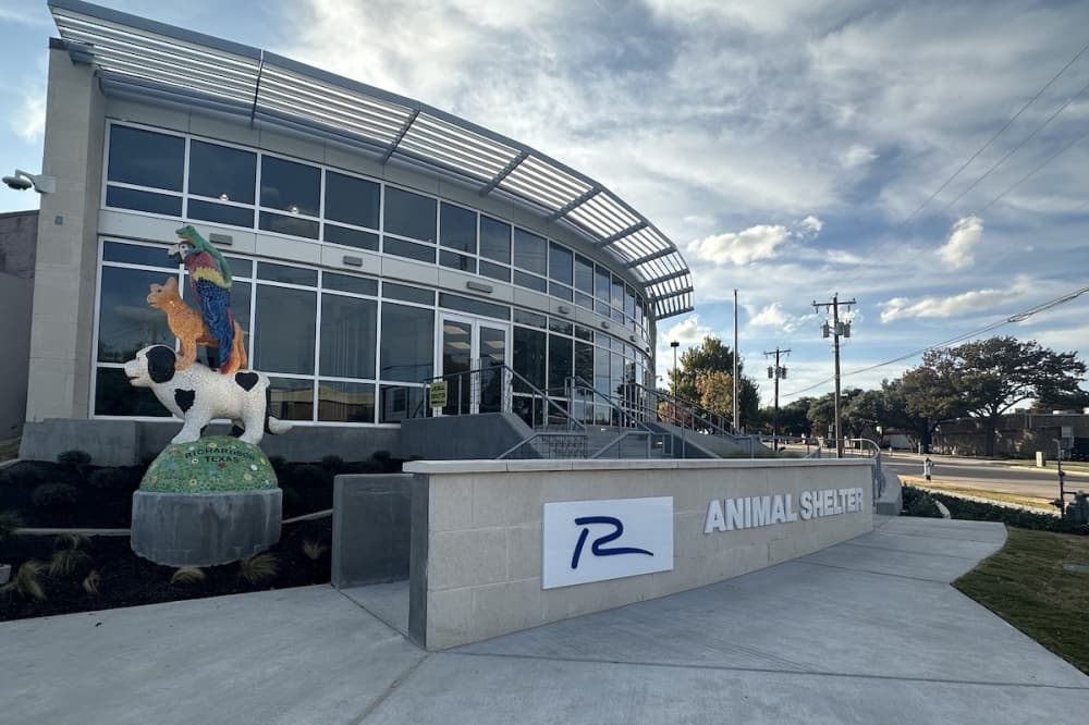 Richardson begins building demolition to clear way for dog park by animal shelter