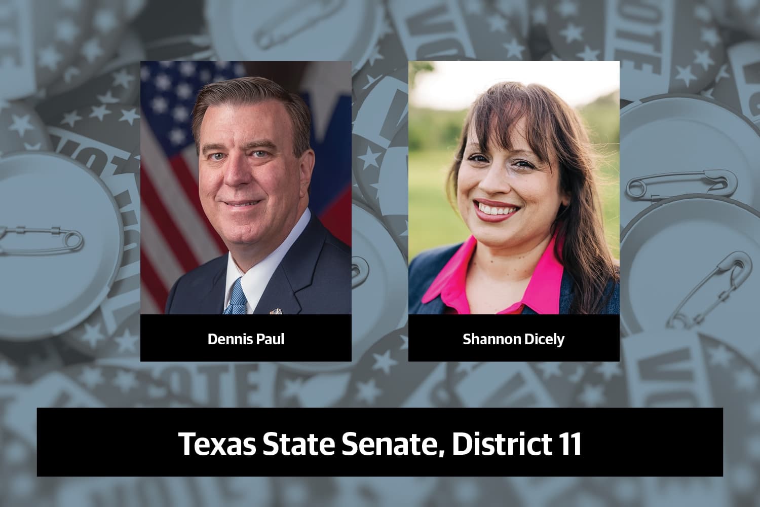 Q&A: Meet the candidates running to represent State Senate, District 11 