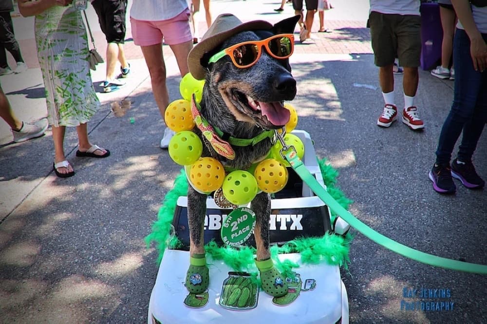 In a Pickle Festival, Kingwood Oktoberfest: 10 Lake Houston-area events to attend throughout October